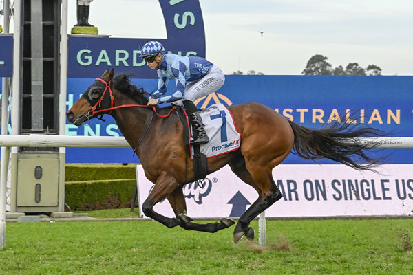 Winter Stakes Boilover As Estadio Mestalla Wins With Ease - Image Bradley Photos