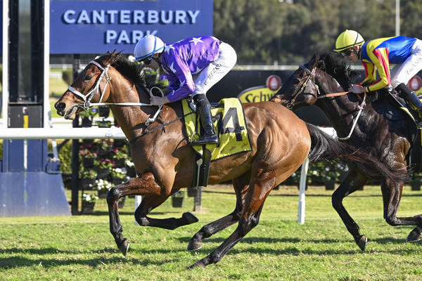 Estremo scores at Canterbury - image Bradley Photography