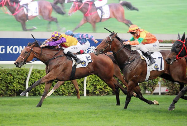 Eternal Bloom wins at Sha tin - image HKJC