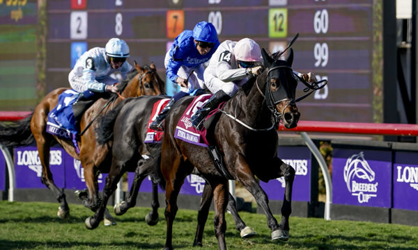 Ethical Diamond wins the G1 Breeders Cup Turf. Photo: Breeders Cup.