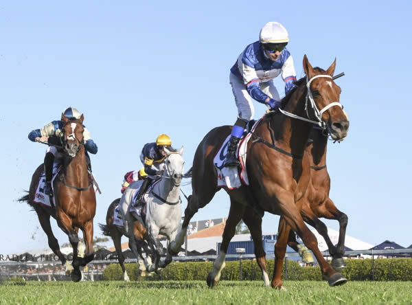 Etna Rosso wins the G3 Newcastle Gold Cup for Go Racing image Go Racing Twitter 