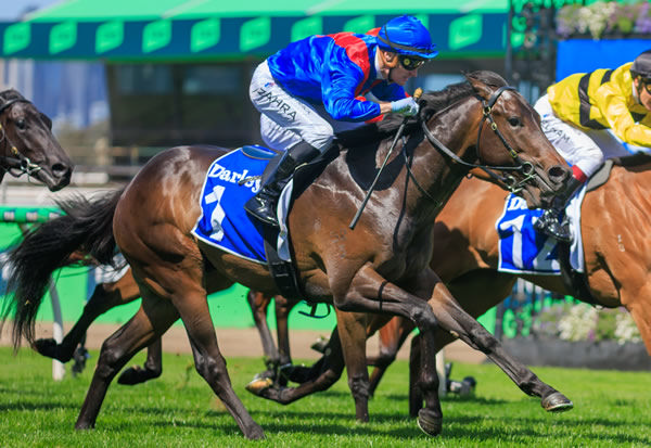 Eurocanto wins the Listed VRC Maribyrnong Trial - image Grant Courtney 