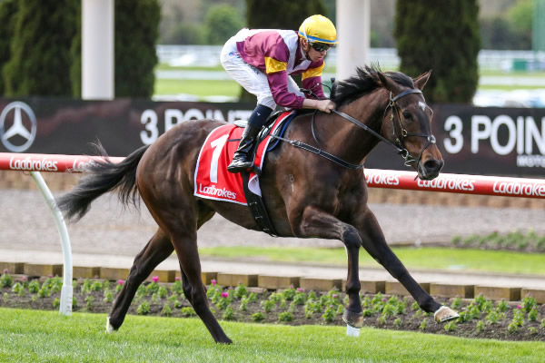 Evaporate extended his winning sequence to three in a row at Moonee Valley on Saturday. Photo: Bruno Cannatelli