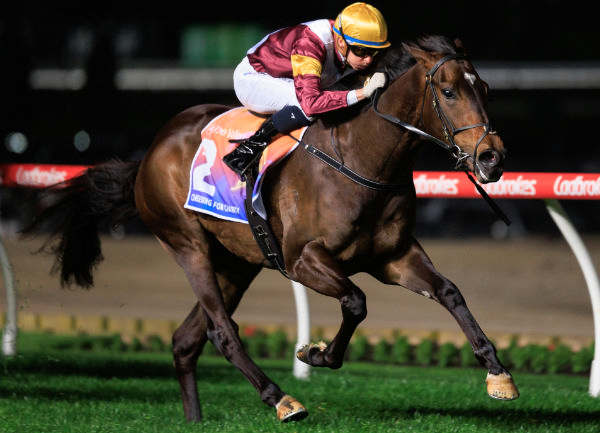 Evaporate wins the G2 Stutt Stakes - image Grant Courtney