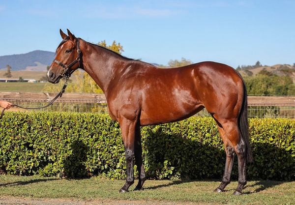 Exaltation is for sale with bidding to end on Friday. 