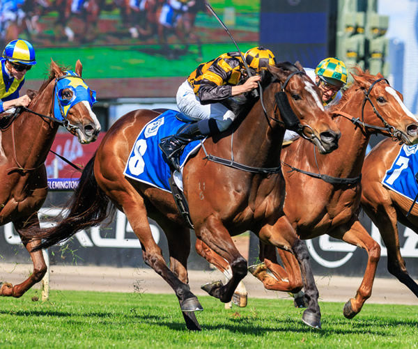 Excelida claims  a valuable Black Type win - image Grant Courtney