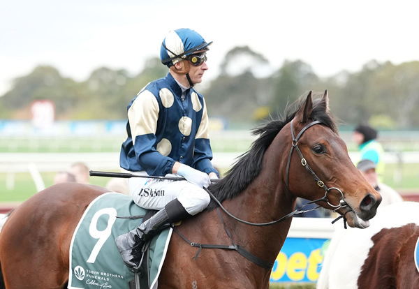 Blake Shinn believes Exit has a bright future - image Racing Photos