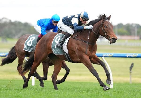 Exit motors to the line to win at Sandown - image Scott Barbour / Racing Photos