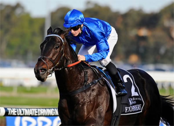 Exosphere won five of 10 starts earning $1million in prizemoney - image Lisa Grimm