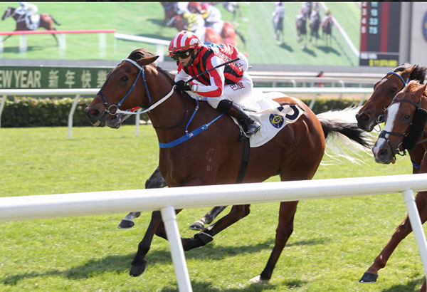 Explosive Witness wins the G3 Bauhinia Sprint - image HKJC