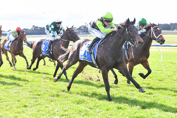 Smart Debut Victor By Exceedance 2yo Express Class - Image Racing Photos