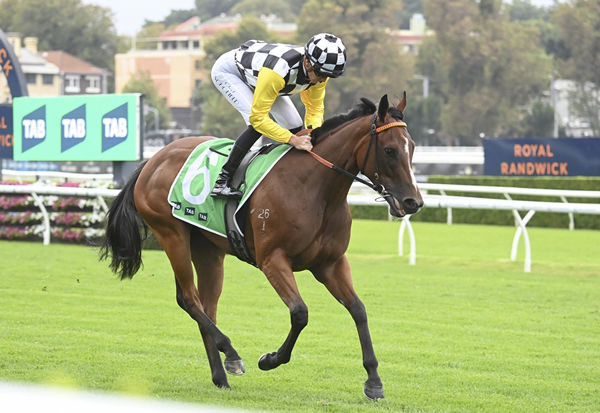 Extreme Diva is now a winner - image Bradley Photogrpahy