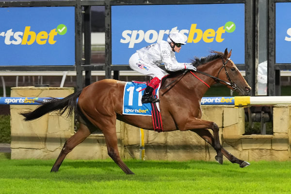 Extreme Virtue opens her account in style - image Scott Barbour / Racing Photos