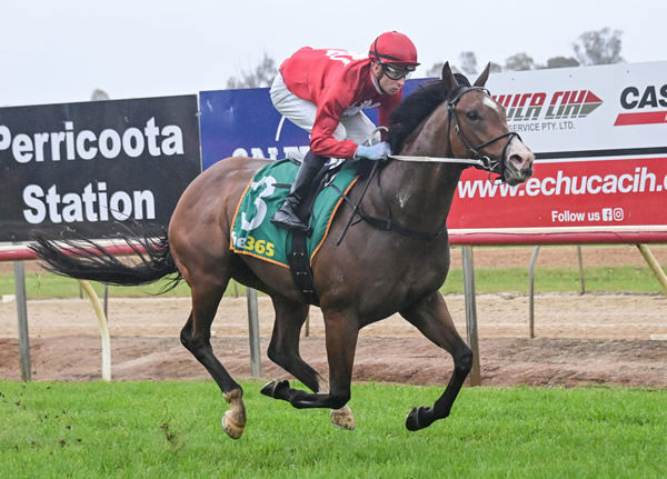 Extreme Warrior bolts in at Echuca - image Brendan McCarthy / Racing Photos