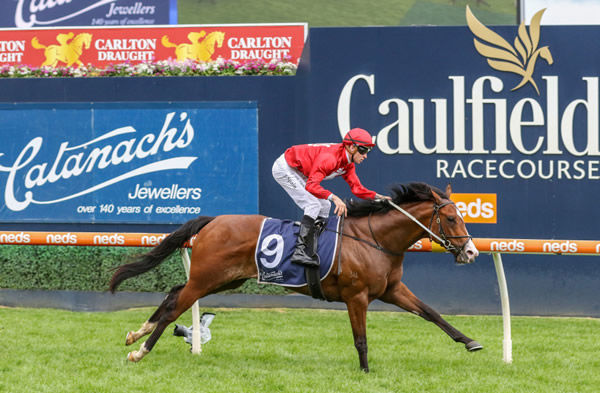 Extreme Warrior wins the G3 Blue Sapphire by daylight - image Grant Courtney.