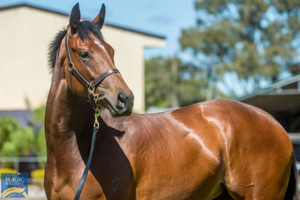 $480,000 I Am Invincible filly from Defy the Odds