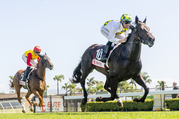 Fairway to Heaven wins in style at Kembla - image Bradley Photos