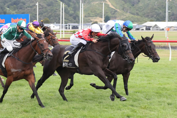 Fairy Dream (centre) winning the Gr.3 NZB Desert Gold Stakes (1600m) at Trentham on Saturday.  Photo: Peter Rubery (Race Images)