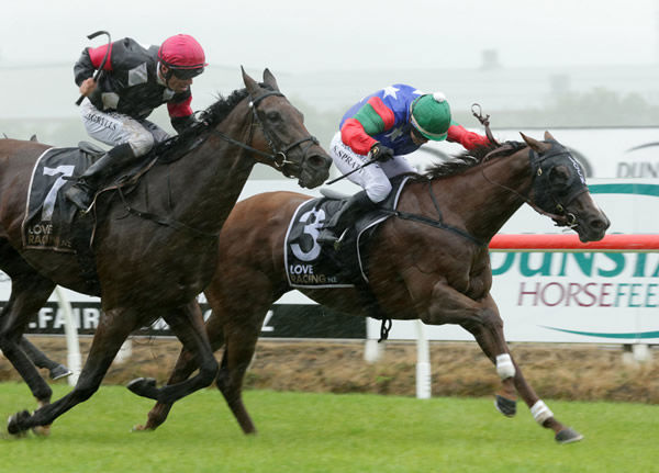 Faithful Feat (inner) gives her all as she holds out Puntura to win the Gr.3 J Swap Sprint (1400m) at Te Rapa Photo: Trish Dunell 