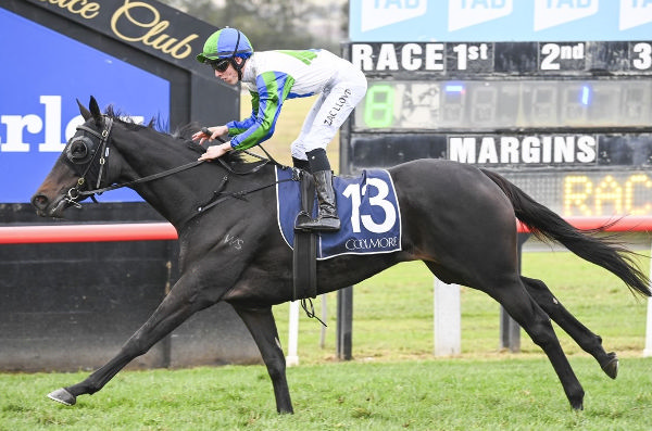 Fall For Cindy added valuable black-type to her record when winning the Gr.3 Dark Jewel Classic at Scone on Saturday. Photo: bradleyphotographers.com.au 