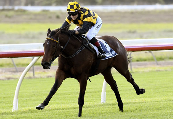 Familia will contest the Gr.2 Dunstan Feeds Auckland Thoroughbred Breeders’ Stakes (1400m) at Pukekohe on Saturday. Photo: Kenton Wright (Race Images)