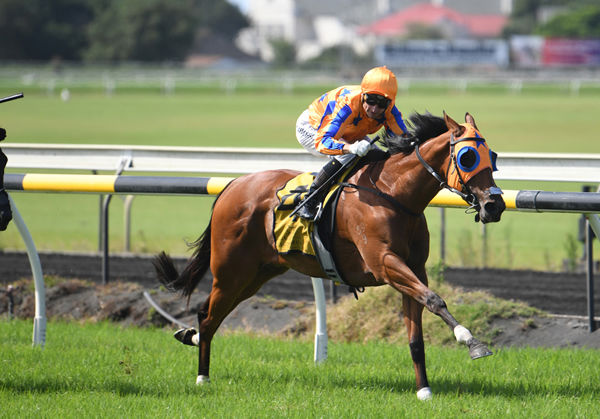 Opie Bosson drives Family Ties clear at New Plymouth  Photo Credit: Race Images – Peter Rubery