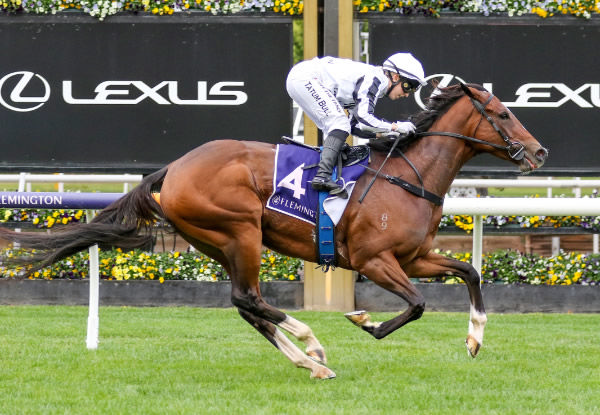 The Listed Eyeliner Stakes (1350m) is on the radar for Fancify. Photo: Bruno Cannatelli