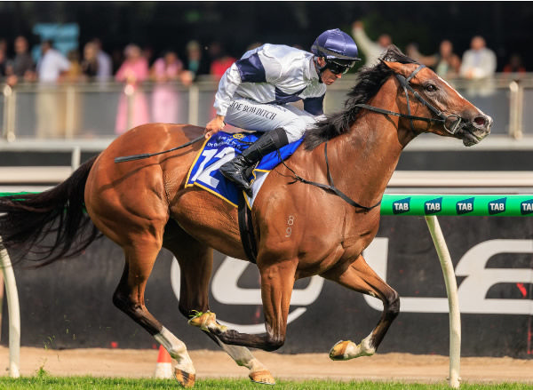 Fancify opens her account at Flemington on Cup Day - image Grant Courtney