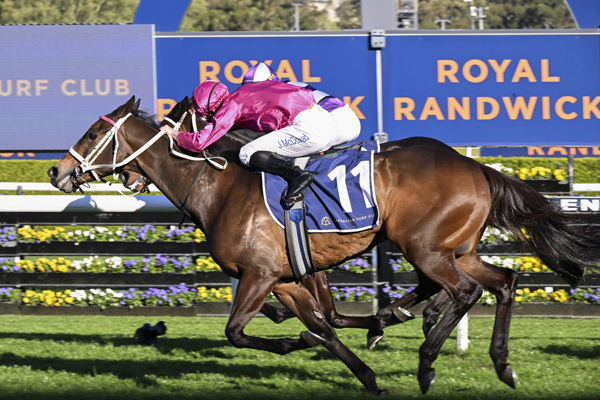 Fangirl wins the Channel 7 Stakes for the second year running in a thriller - image Bradley Photography 