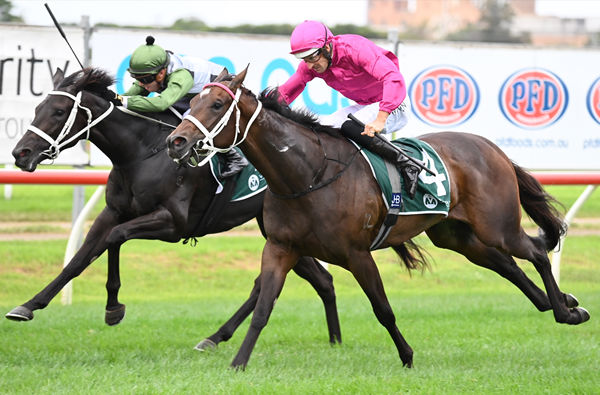 Fangirl outpoints Hinged to win the G1 Vinery Stud Stakes - image Steve Hart 