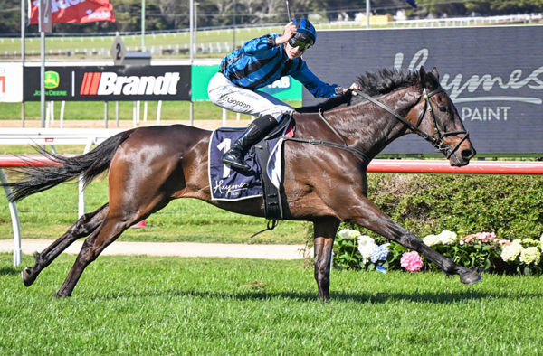 Will Gordon celebrates his second consecutive Jericho Cup win on New Zealand-bred and part-owned Farag at Warrnambool on Sunday.   Photo: Reg Ryan