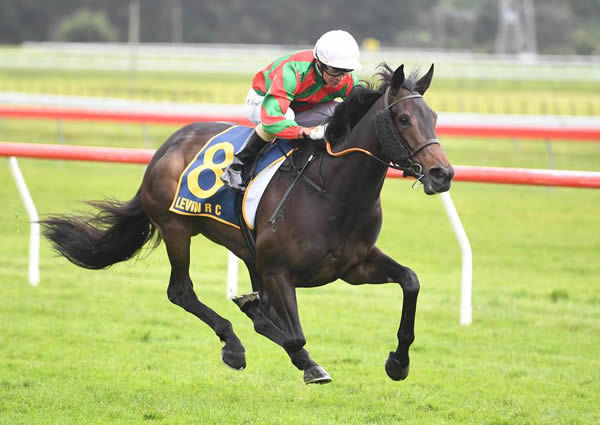 Faraglioni will now be targeted at the Gr.1 TAB Classic (1600m) after a stellar effort at Pukekohe. Photo: Peter Rubery (Race Images Palmerston North)