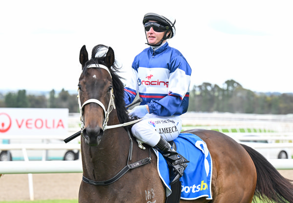 Faraway Dream returns a winner - image Pat Scala / Racing Photos 