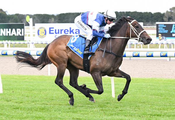 Faraway Dream wins by daylight at Ballarat - image Pat Scala / Racing Photos
