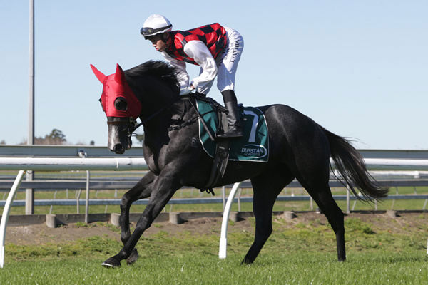 Farrenc will join Lindsay Park for an Australian campaign. Photo: Trish Dunell