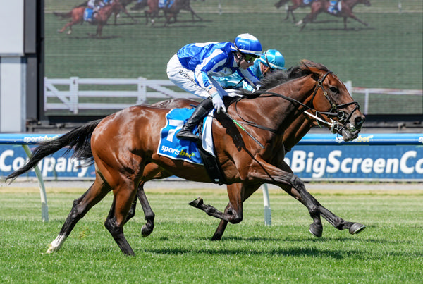 Fast 'n' Inzaine powers home to win - image George Sal/ Racing Photos