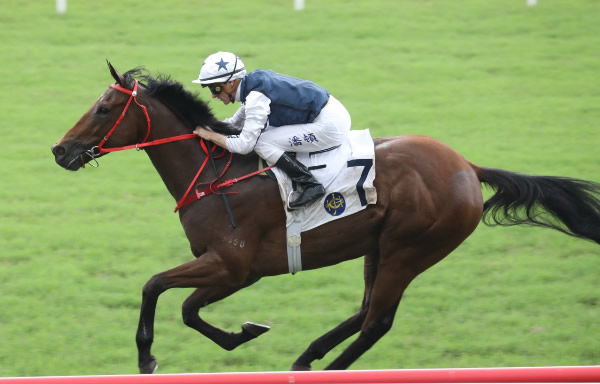 Fast Network cruises to victory at Sha Tin under Zac Purton Photo: HKRW