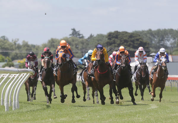 Fellini (inside) winning at Pukekohe on Monday. Photo: Trish Dunell