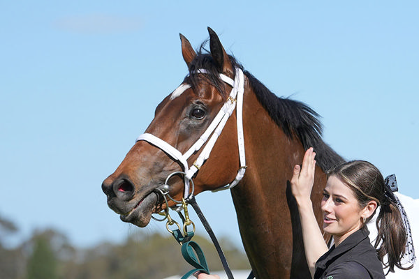 G1 Thousand Guineas (1600m) On The Agenda For Ferivia - Image Scott Barbour/Racing Photos