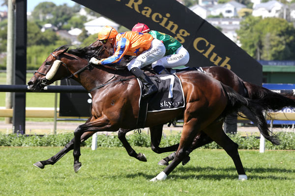 Stakes quinella for I Am Invincible - Festivity beats stablemate Vamos Bebe (obscured) in the Listed Hallmark Stud Handicap (1200m) Photo Credit: Trish Dunell
