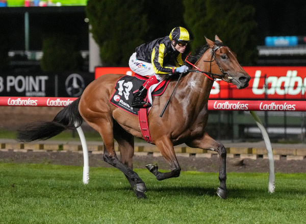 Fickle cruises clear at Moonee Valley - image George Salipigtidis / Racing Photos 