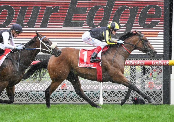 Fickle has won three on the trot in Melbourne - image Reg Ryan/ Racing Photos