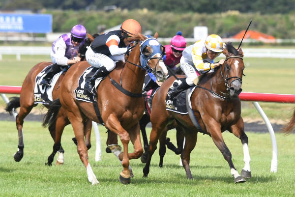 Field Of Gold powering down the outside to take out the JR N Berkett 1400 at Trentham on Sunday.  Photo: Peter Rubery (Race Images Palmerston North)