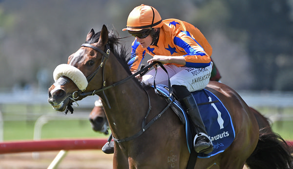 Fierce Flight winning at Te Aroha on Friday.  Photo: Kenton Wright (Race Images)