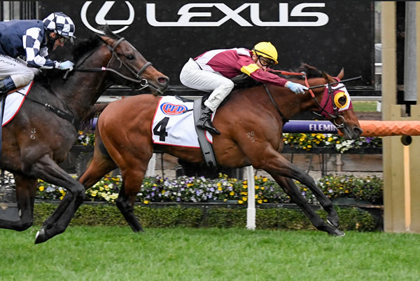 Fierce Impact (Jpn) beats Russian Camelot (IRE) to win the G1 Makybe Diva Stakes in 2020 - image Racing Photos