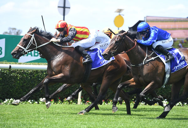 Fifteen Aria powers to a debut win at Warwick Farm - image Steve Hart.