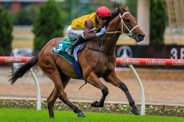 Field of Play bolts in at Moonee Valley - image Grant Courtney