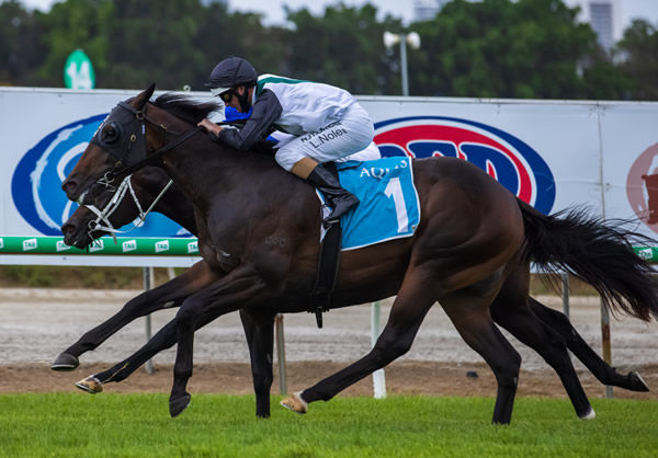 Finance Tycoon downs Shaquero to win at the Gold Coast - image Grant Courtney.