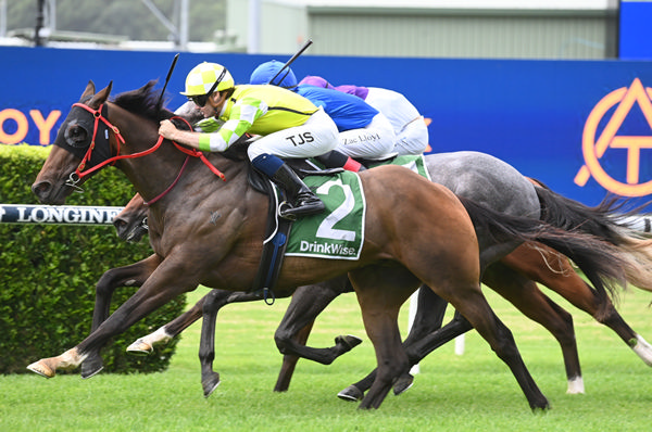 Fire Tribe breaks the ice at Randwick on Boxing Day - image Steve Hart