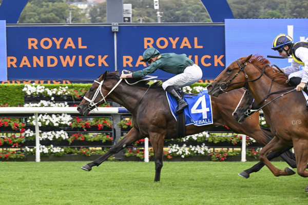 Fireball wins the $2million Inglis Millennium - image Bradley Photos